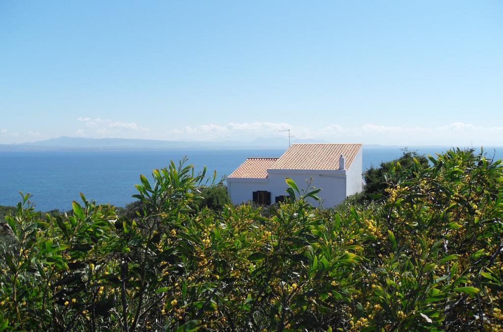 Bed & Breakfast Ippocampo *